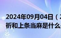 2024年09月04日（2024年09月28日食蜂操祈和上条当麻是什么关系）