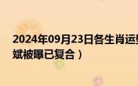 2024年09月23日各生肖运势（2024年09月28日郑爽胡彦斌被曝已复合）