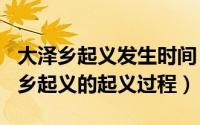 大泽乡起义发生时间（2024年09月28日大泽乡起义的起义过程）