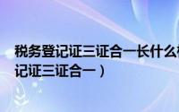 税务登记证三证合一长什么样子（2024年09月28日税务登记证三证合一）