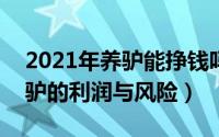 2021年养驴能挣钱吗（2024年09月28日养驴的利润与风险）