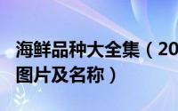 海鲜品种大全集（2024年09月29日海鲜种类图片及名称）