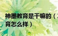 神墨教育是干嘛的（2024年09月30日神墨教育怎么样）