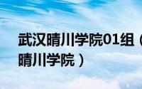 武汉晴川学院01组（2024年09月30日武汉晴川学院）