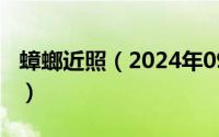 蟑螂近照（2024年09月30日蟑螂长什么样子）