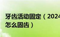 牙齿活动固定（2024年10月01日牙齿活动了怎么固齿）