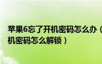 苹果6忘了开机密码怎么办（2024年10月01日苹果6忘记开机密码怎么解锁）