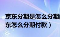 京东分期是怎么分期的（2024年10月01日京东怎么分期付款）