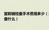 宫腔镜检查手术费用多少（2024年10月01日宫腔镜主要检查什么）