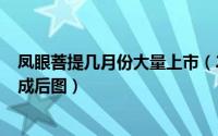 凤眼菩提几月份大量上市（2024年10月02日凤眼菩提子盘成后图）