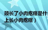 颈长了小肉疙瘩是什么（2024年10月02日颈上长小肉疙瘩）