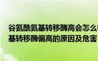 谷氨酰氨基转移酶高会怎么样（2024年10月02日谷氨酰氨基转移酶偏高的原因及危害）