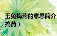 玉兔捣药的意思简介（2024年10月02日玉兔捣药）