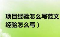 项目经验怎么写范文（2024年10月02日项目经验怎么写）