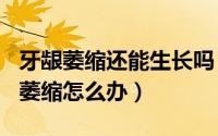 牙龈萎缩还能生长吗（2024年10月03日牙龈萎缩怎么办）