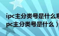 ipc主分类号是什么意思（2024年10月03日ipc主分类号是什么）