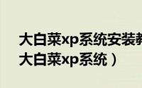 大白菜xp系统安装教程（2024年10月03日大白菜xp系统）