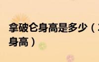 拿破仑身高是多少（2024年10月03日拿破仑身高）