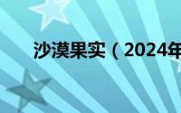 沙漠果实（2024年10月03日沙漠果）