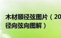 木材顺径弦图片（2024年10月03日木材顺纹径向弦向图解）