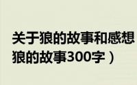 关于狼的故事和感想（2024年10月03日关于狼的故事300字）