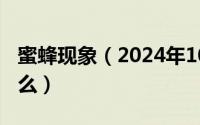 蜜蜂现象（2024年10月04日蜜蜂的特点是什么）