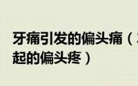 牙痛引发的偏头痛（2024年10月04日牙疼引起的偏头疼）