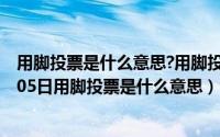 用脚投票是什么意思?用脚投票的起源是什么（2024年10月05日用脚投票是什么意思）