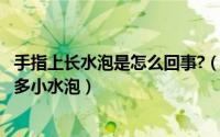 手指上长水泡是怎么回事?（2024年10月05日手指上长了很多小水泡）