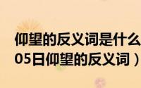 仰望的反义词是什么标准答案（2024年10月05日仰望的反义词）