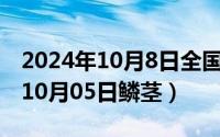 2024年10月8日全国高血压日主题（2024年10月05日鳞茎）