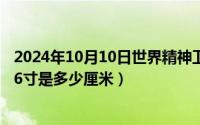 2024年10月10日世界精神卫生日主题（2024年10月05日26寸是多少厘米）