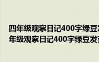 四年级观察日记400字绿豆发芽表格（2024年10月05日四年级观察日记400字绿豆发芽）