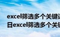 excel筛选多个关键词公式（2024年10月05日excel筛选多个关键词）