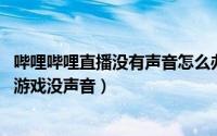 哔哩哔哩直播没有声音怎么办?（2024年10月05日哔哩直播游戏没声音）