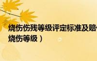 烧伤伤残等级评定标准及赔偿标准一览（2024年10月06日烧伤等级）