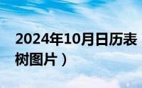 2024年10月日历表（2024年10月06日咖啡树图片）