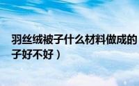 羽丝绒被子什么材料做成的（2024年10月06日羽丝绒的被子好不好）