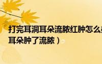 打完耳洞耳朵流脓红肿怎么办（2024年10月06日打耳洞后耳朵肿了流脓）