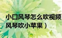 小口风琴怎么吹视频（2024年10月07日用口风琴吹小苹果）