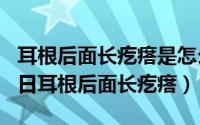 耳根后面长疙瘩是怎么回事（2024年10月07日耳根后面长疙瘩）