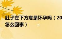 肚子左下方疼是怀孕吗（2024年10月07日肚子左下方疼是怎么回事）