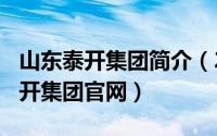 山东泰开集团简介（2024年10月07日山东泰开集团官网）