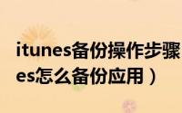 itunes备份操作步骤（2024年10月07日itunes怎么备份应用）