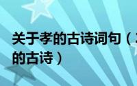 关于孝的古诗词句（2024年10月07日关于孝的古诗）