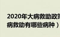 2020年大病救助政策（2024年10月07日大病救助有哪些病种）