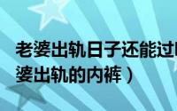 老婆出轨日子还能过吗（2024年10月07日老婆出轨的内裤）