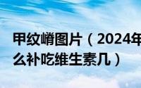 甲纹嵴图片（2024年10月07日甲纹嵴该吃什么补吃维生素几）