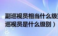 副巡视员相当什么级别（2024年10月08日副巡视员是什么级别）