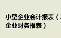 小型企业会计报表（2024年10月08日小会计企业财务报表）